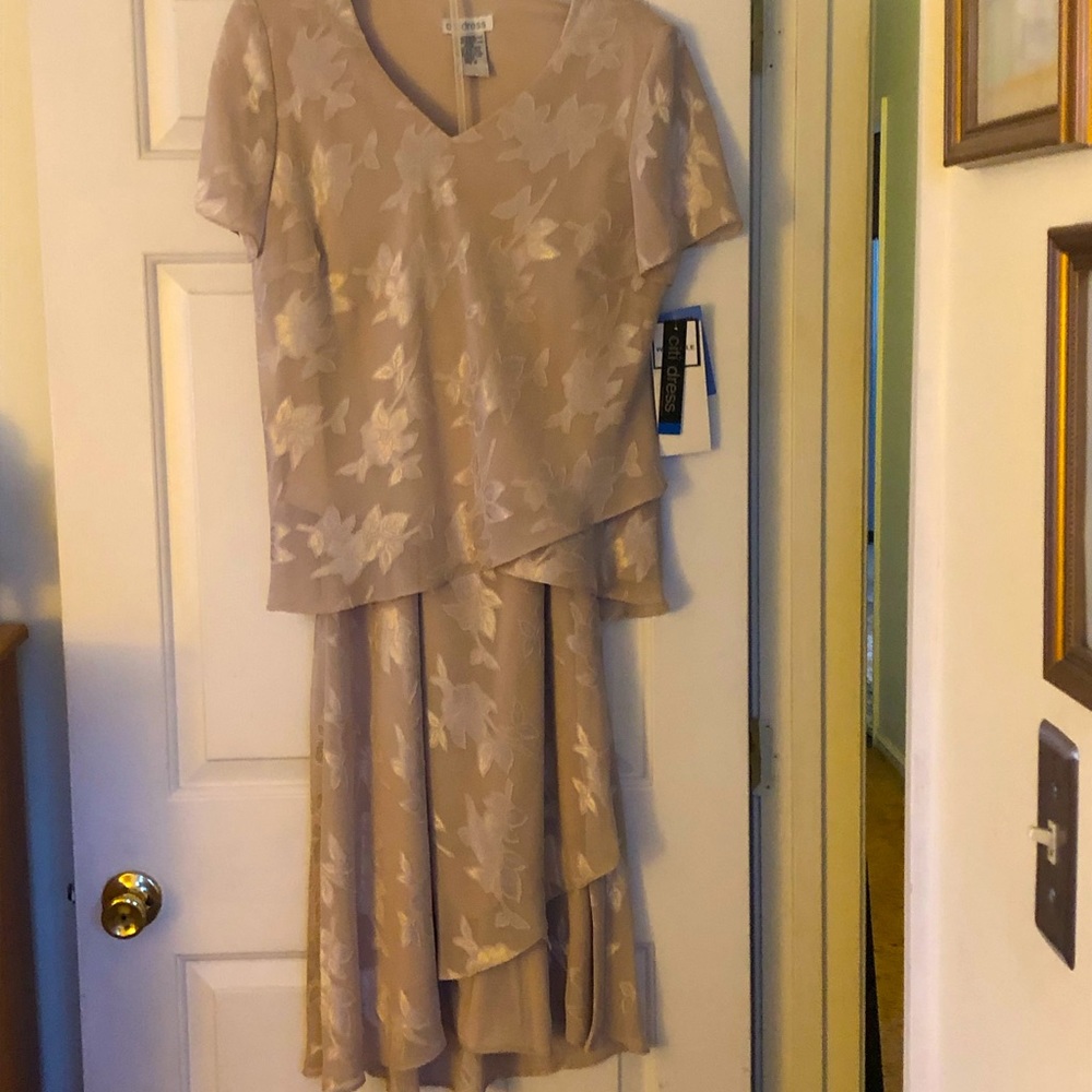 Beautiful Dressy Dress (Skirt and Top)